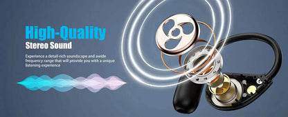 Professional AI Translator Earbuds - 164 Lang, Audio Video Call - Lxvox