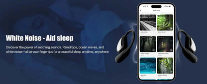 Professional AI Translator Earbuds - 164 Lang, Audio Video Call - Lxvox
